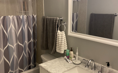 Palatine, IL Small Bathroom Remodel 2023