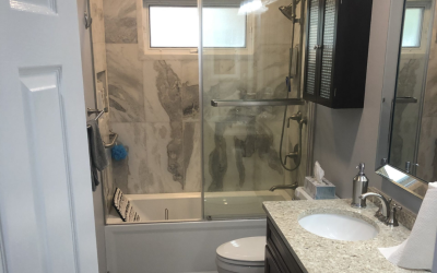 Hoffman Estates, IL Full Bathroom Remodel 2020