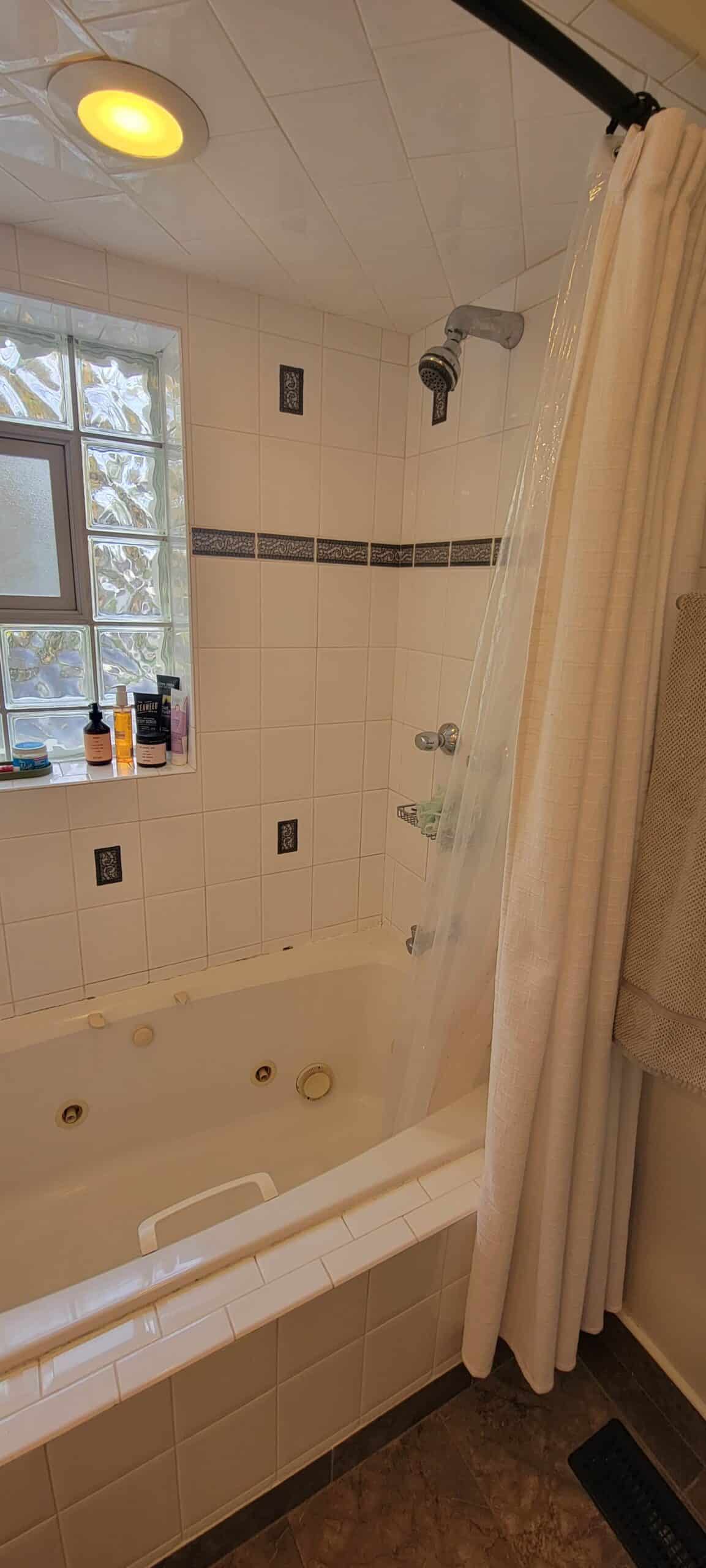 Before | Arlington Heights, IL Shower Remodel