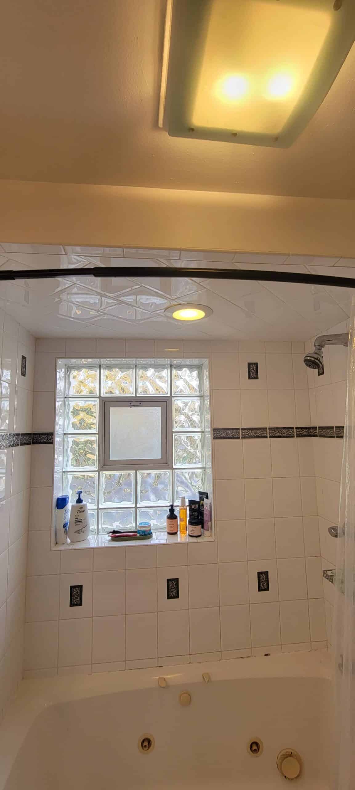 Before | Arlington Heights, IL Shower Remodel